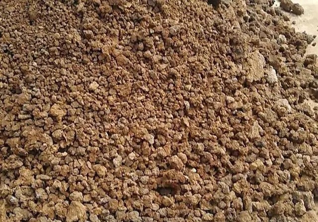 影響污泥干燥機工作效率的4大因素